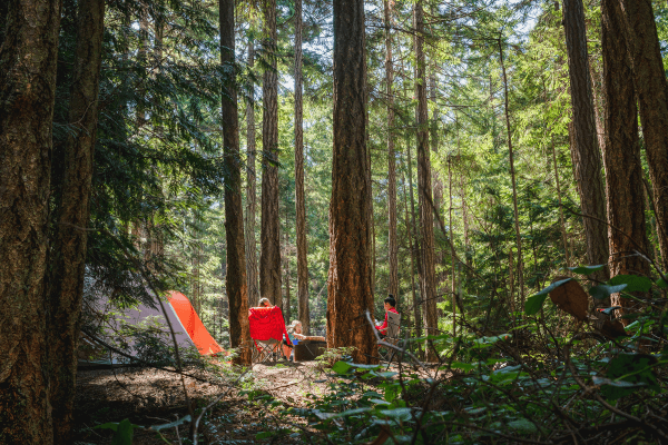 camping zelte kaufen Zelt Pinehouse II