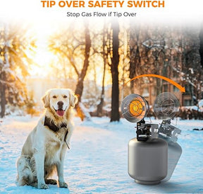 TTulpe Indoor B-11 P50 Eco, Propane Chauffe-Eau Basse Nox ( 50 Mbar TTulpe Indoor B-11 P50 Eco, Propane Chauffe-Eau Basse Nox ( 50 Mbar
