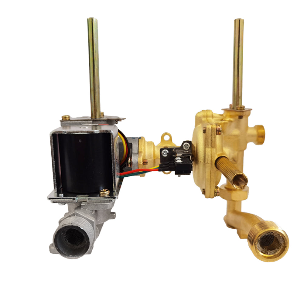 BD264 Gas-Water Valve Assembly