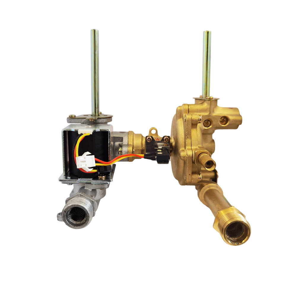 BW422 Gas-Water Valve Assembly