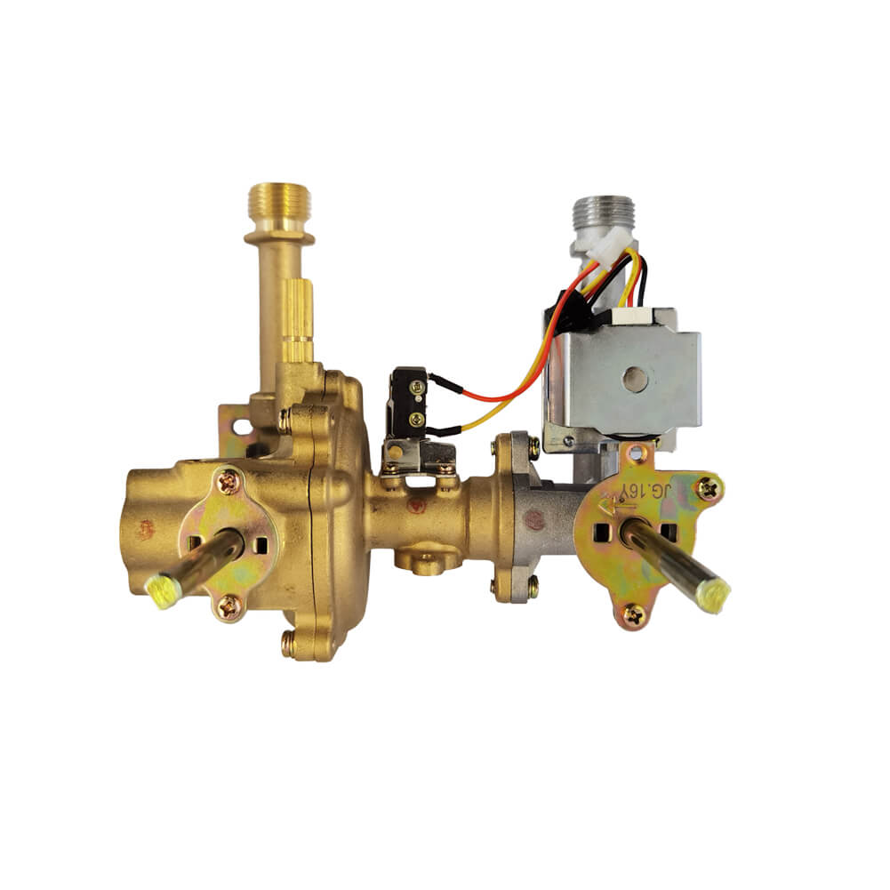BW422 Gas-Water Valve Assembly